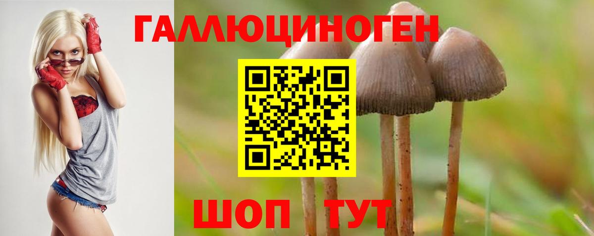 Псилоцибиновые грибы Psilocybine cubensis  Вход с VPN  Гурьевск 